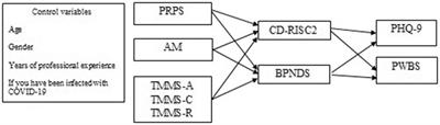 Psychological mediators between risk perception and psychological wellbeing in emergency healthcare workers